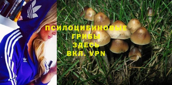 ешки Бронницы