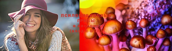 дмт Бугульма