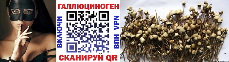 кракен ссылки  цены наркотик  Верхний Тагил  Псилоцибиновые грибы Cubensis 